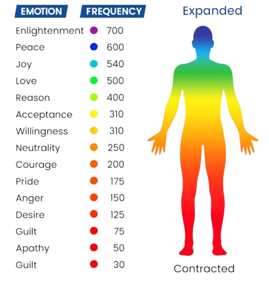Bio-Healing Frequency Generator